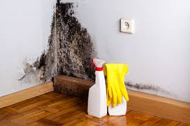 Mold Odor Removal Services in Mackinaw, IL